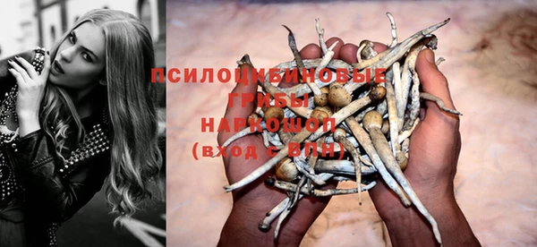 стафф Алексеевка