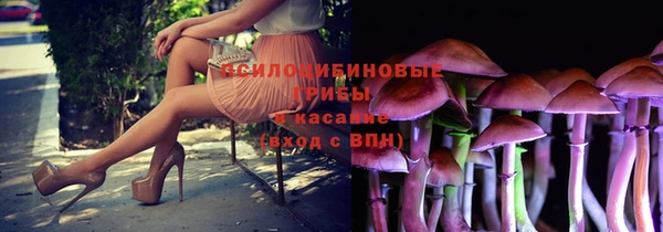 PSILOCYBIN Армянск