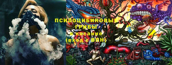 твердый Алзамай