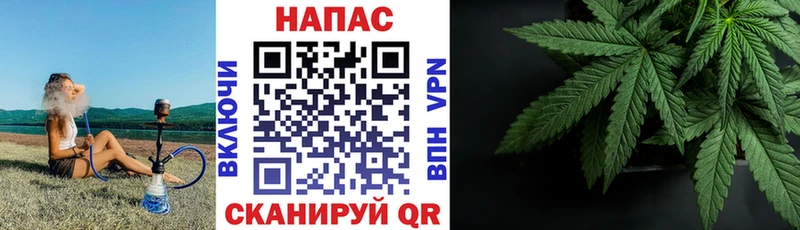 Бошки марихуана план  Лебедянь 